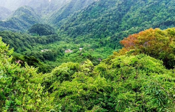 山水林田湖草1.png
