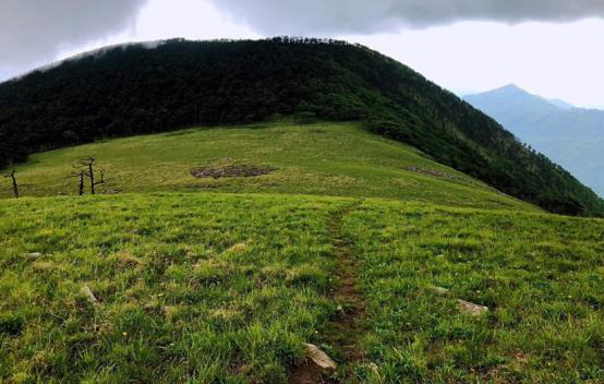 山水林田湖草6.png
