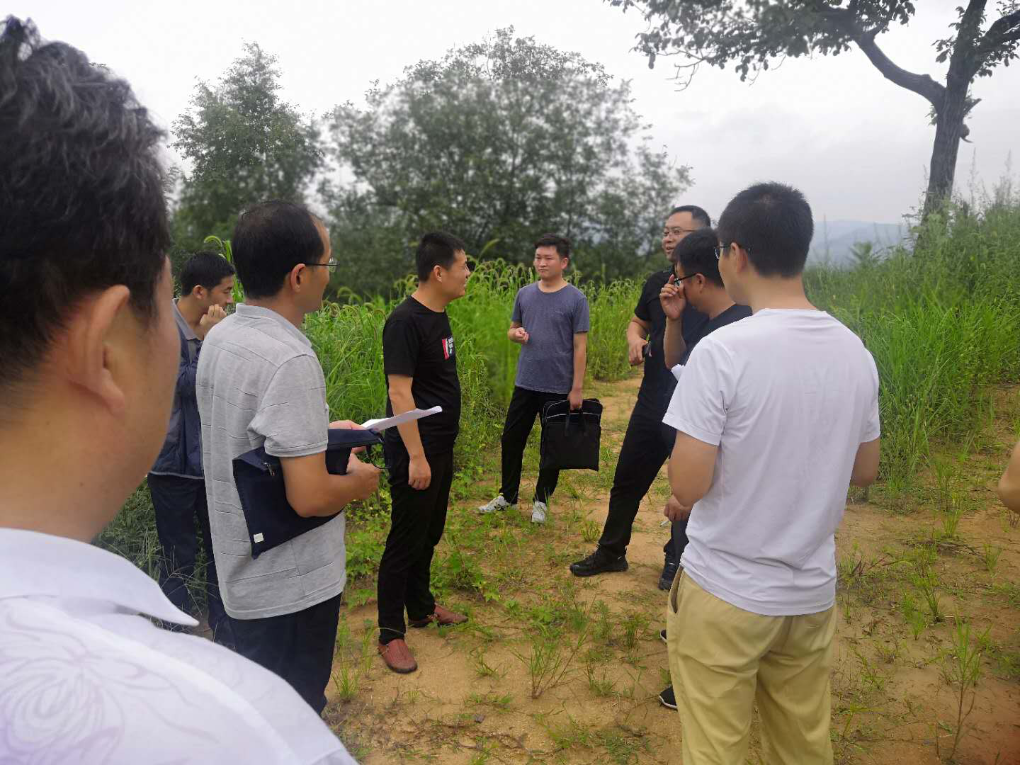 洛南3.png