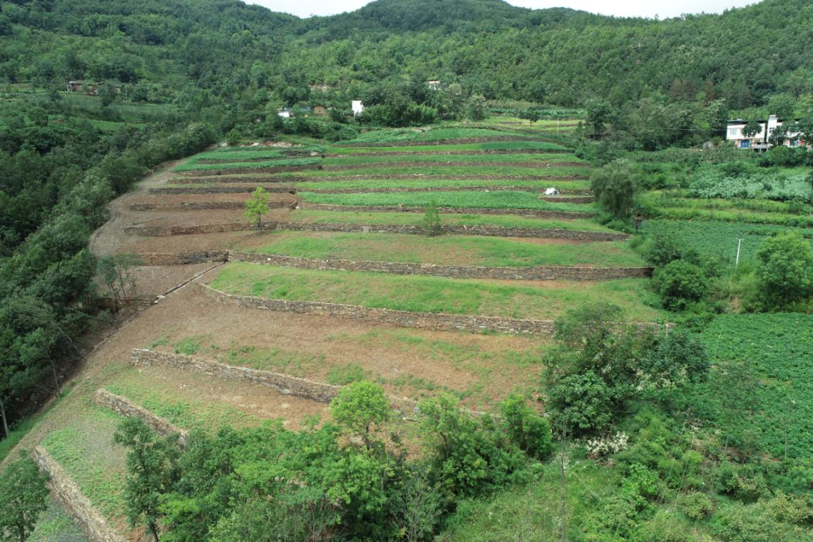 白河1.jpg