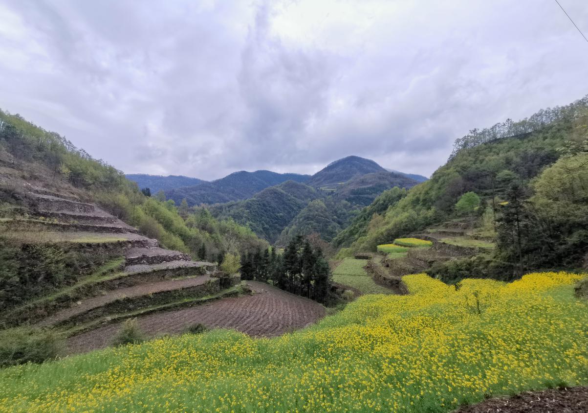 白河4.jpg