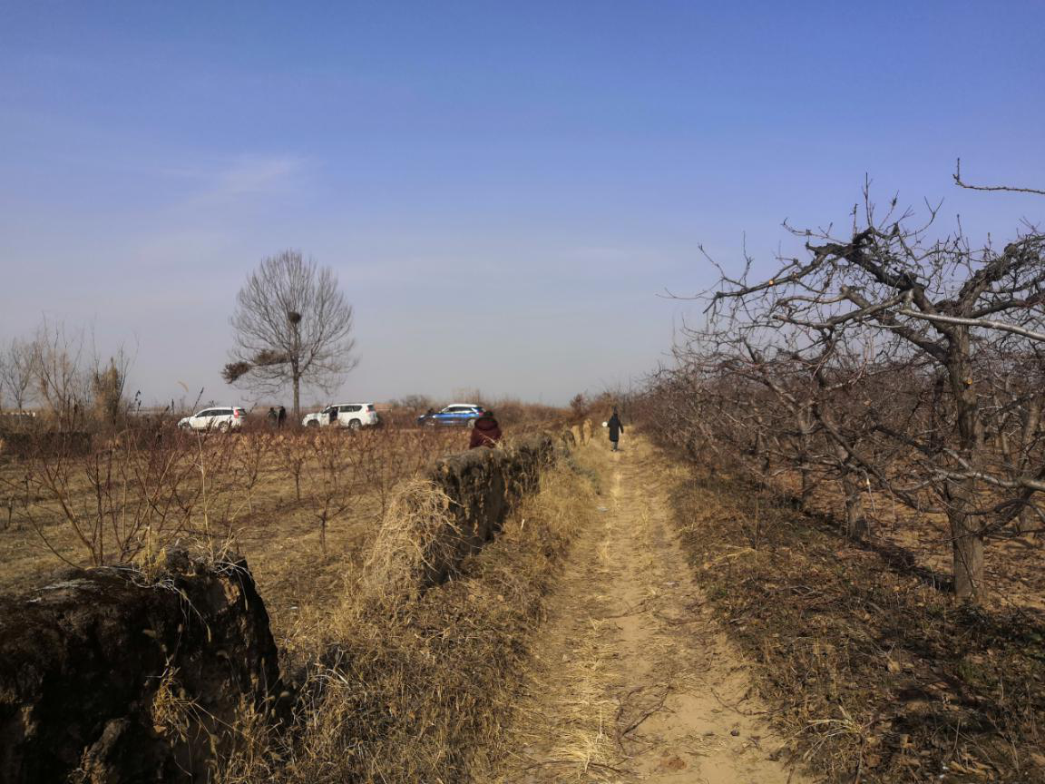 电建西北院1.png