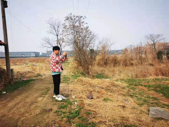 阎良区国土空间规划基数1.png